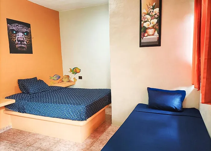 El Ultimo Maya
