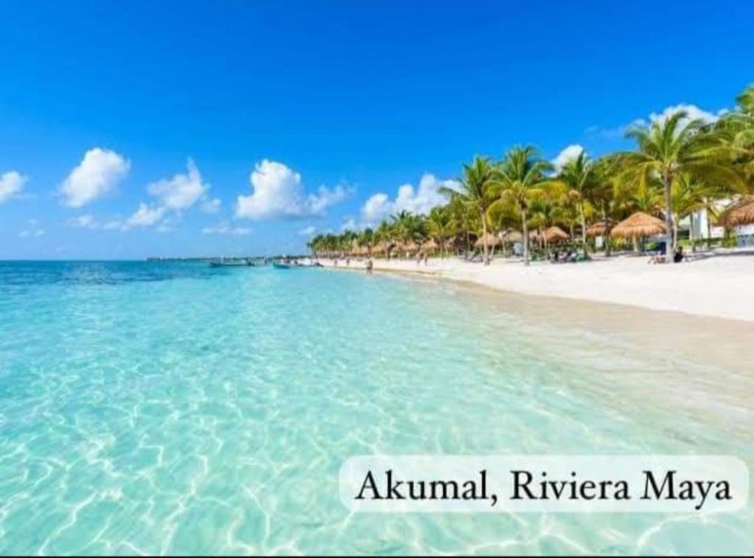 El Ultimo Maya Akumal