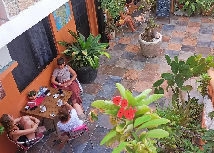 El Ultimo Maya